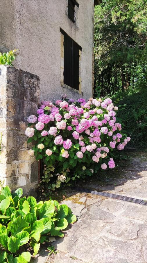 La Fontaine Du Mas Bed & Breakfast Thiviers Екстериор снимка